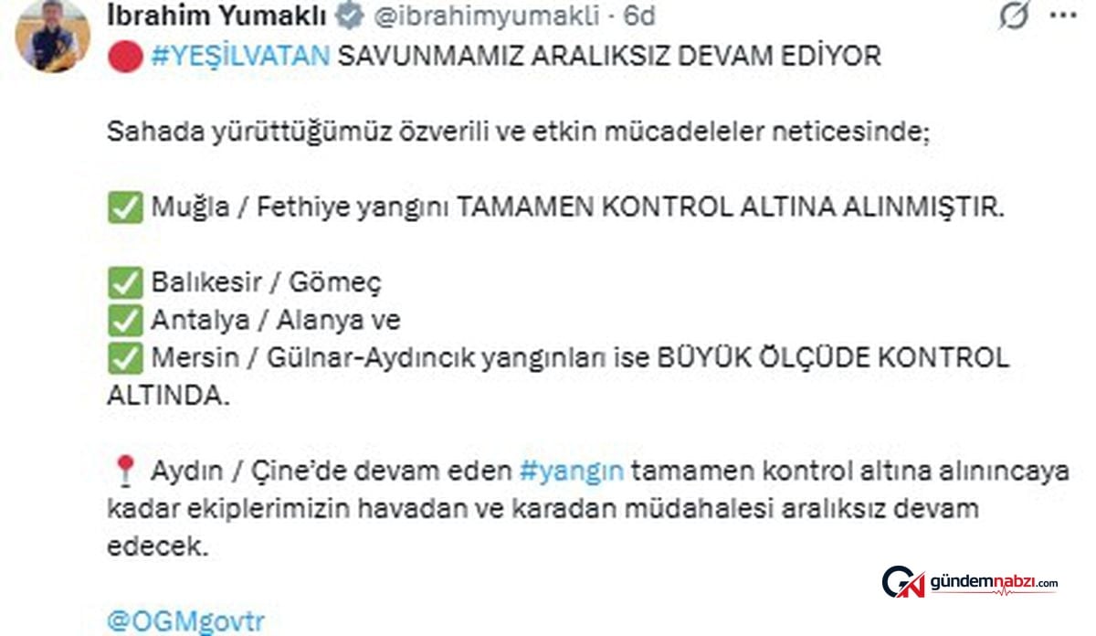 Muğla'daki orman yangınlarında 5 bin hektardan fazla alan zarar gördü
