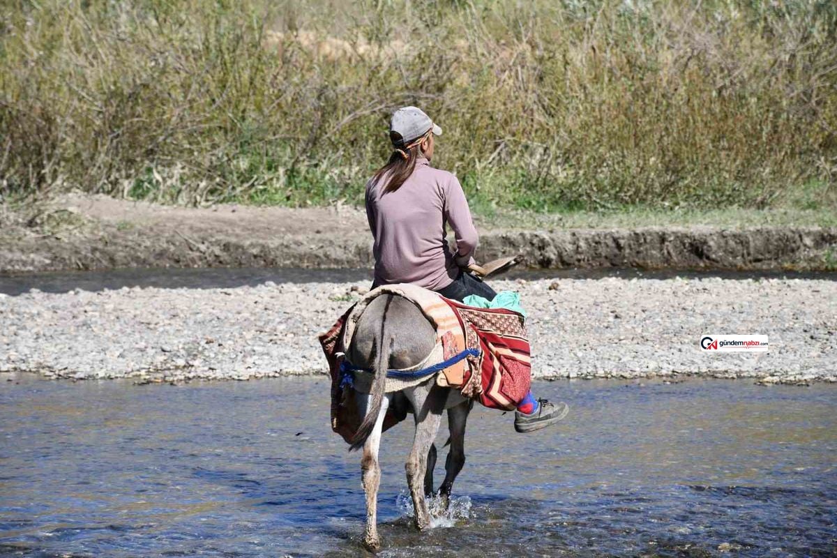 Şırnak yaylaları göçer akınına uğradı
