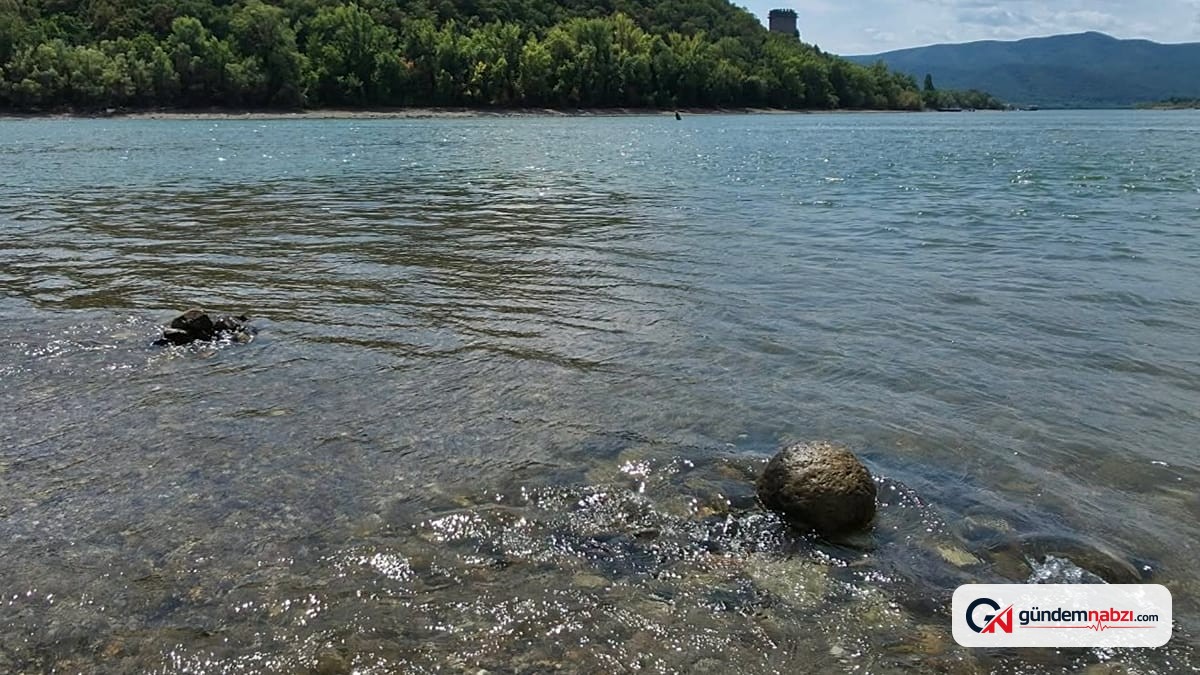 Macaristan'da Tuna Nehri'nin suyu çekildi: Tarihi taşküre bulundu