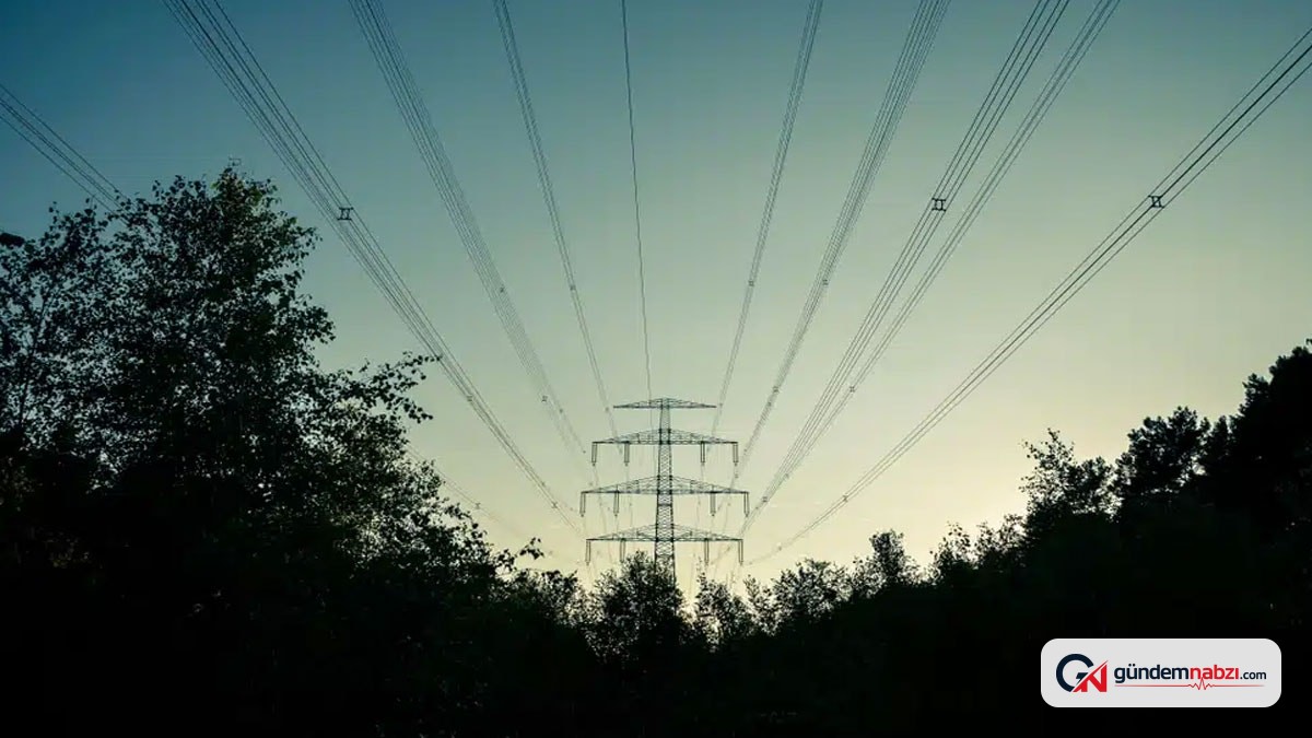 Milyonları elektriksiz bırakan kesintiye cennet ağacı neden olmuş