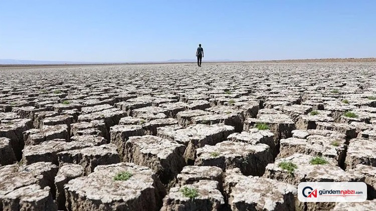 Tarımsal kuraklık riskleri TAKİS ile dijital ortamda takip edilecek
