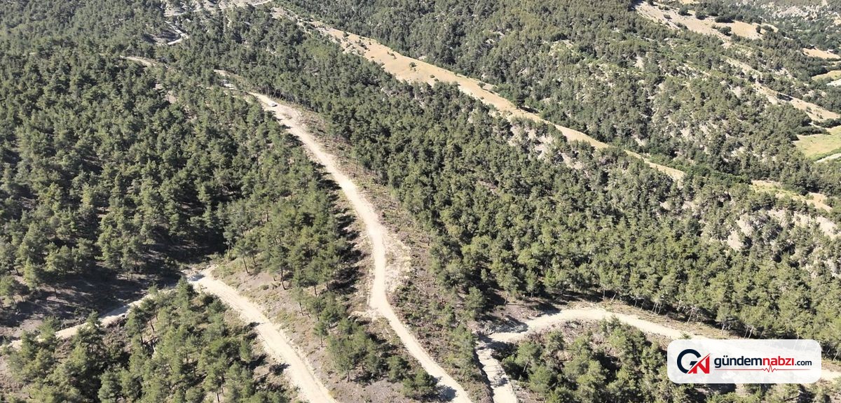 Samsun'da orman köylülerine 1 milyar TL'lik ek gelir