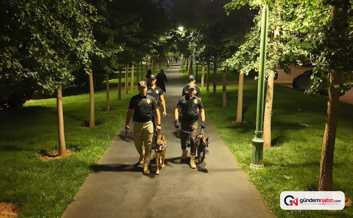 Gaziantep'te park denetimlerinde 160 sürücüye ceza
