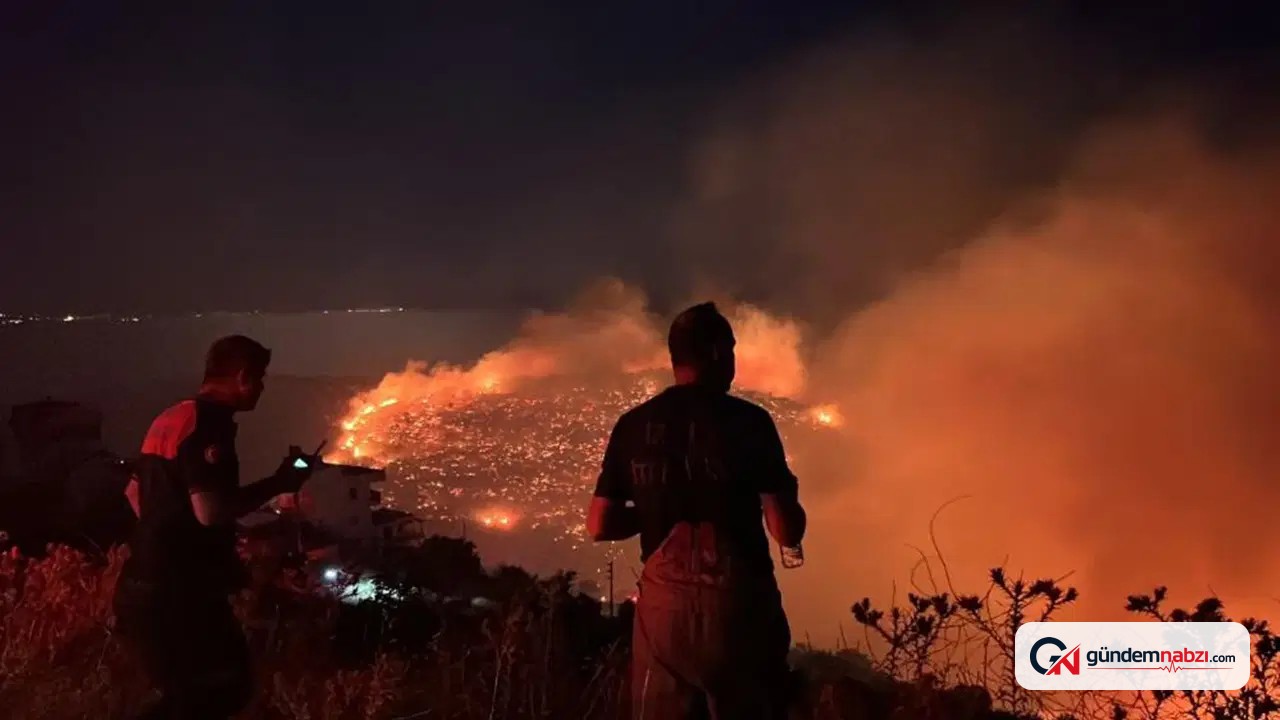 Orman yangınları 6 yılda 7 kat arttı
