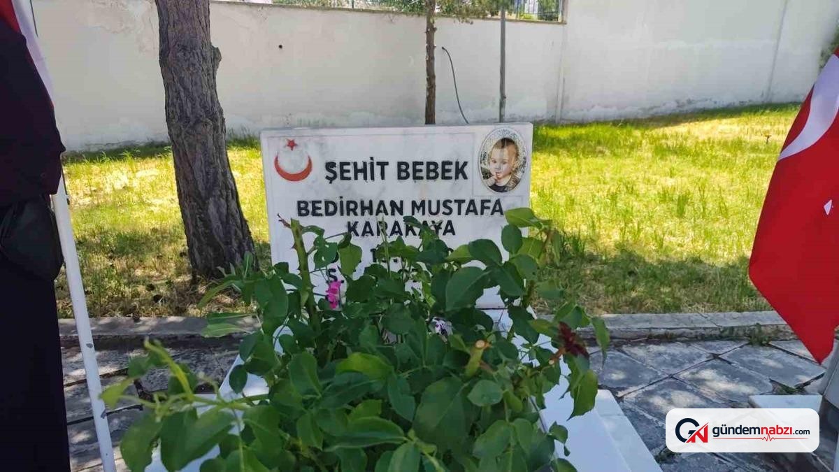 Bedirhan bebek ve annesi Sivas'ta anıldı