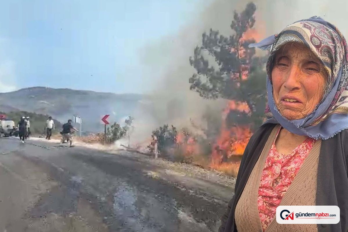 Aydın ve Muğla'da rüzgar alevleri yeniden büyüttü