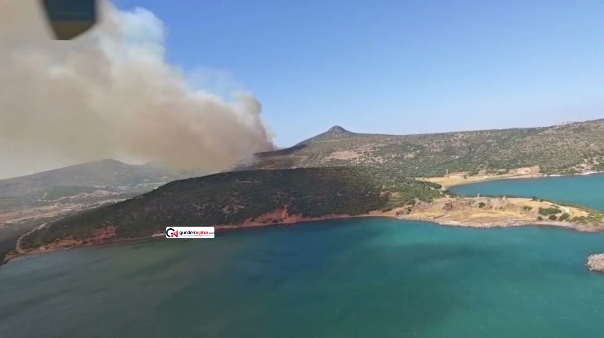 İzmir'de orman yangını: Havadan ve karadan müdahale