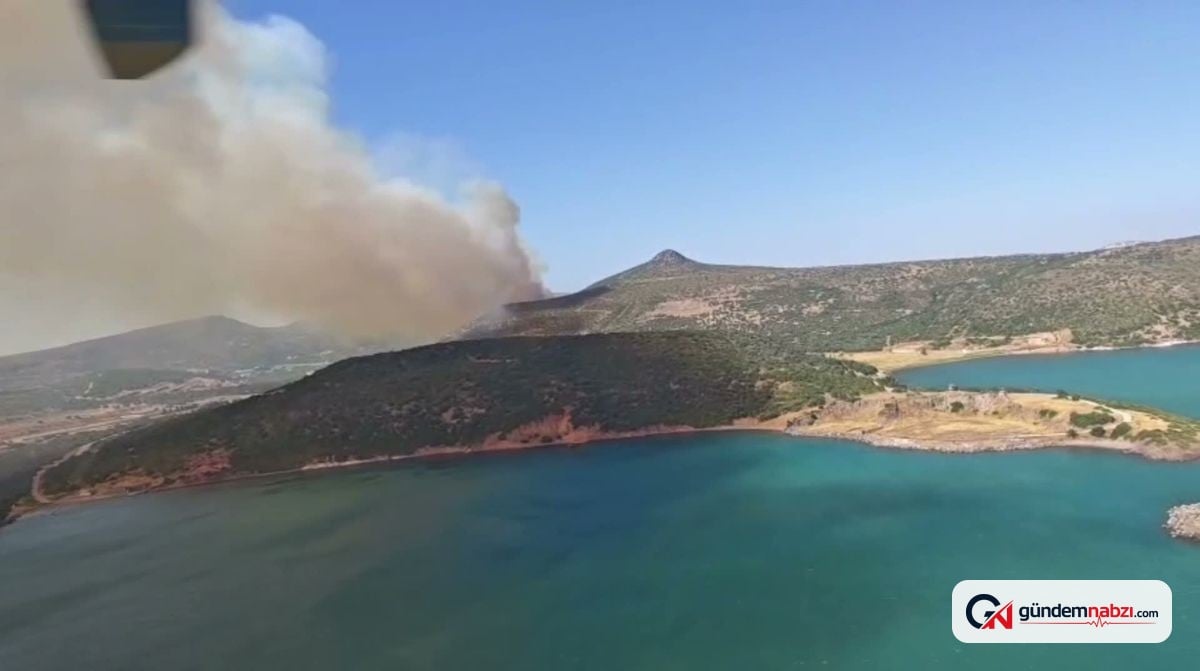 İzmir'de orman yangını: Havadan ve karadan müdahale