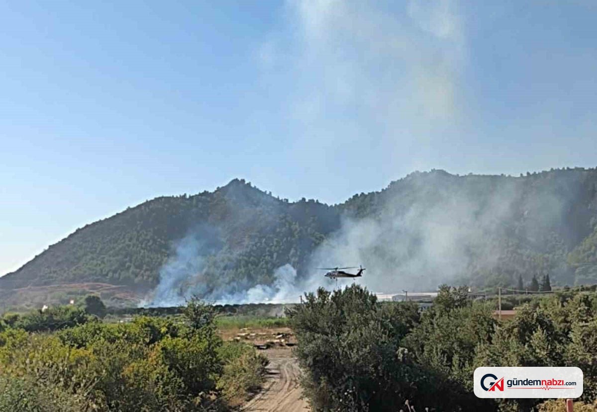 Muğla Dalaman'da tarım arazisindeki yangın söndürüldü