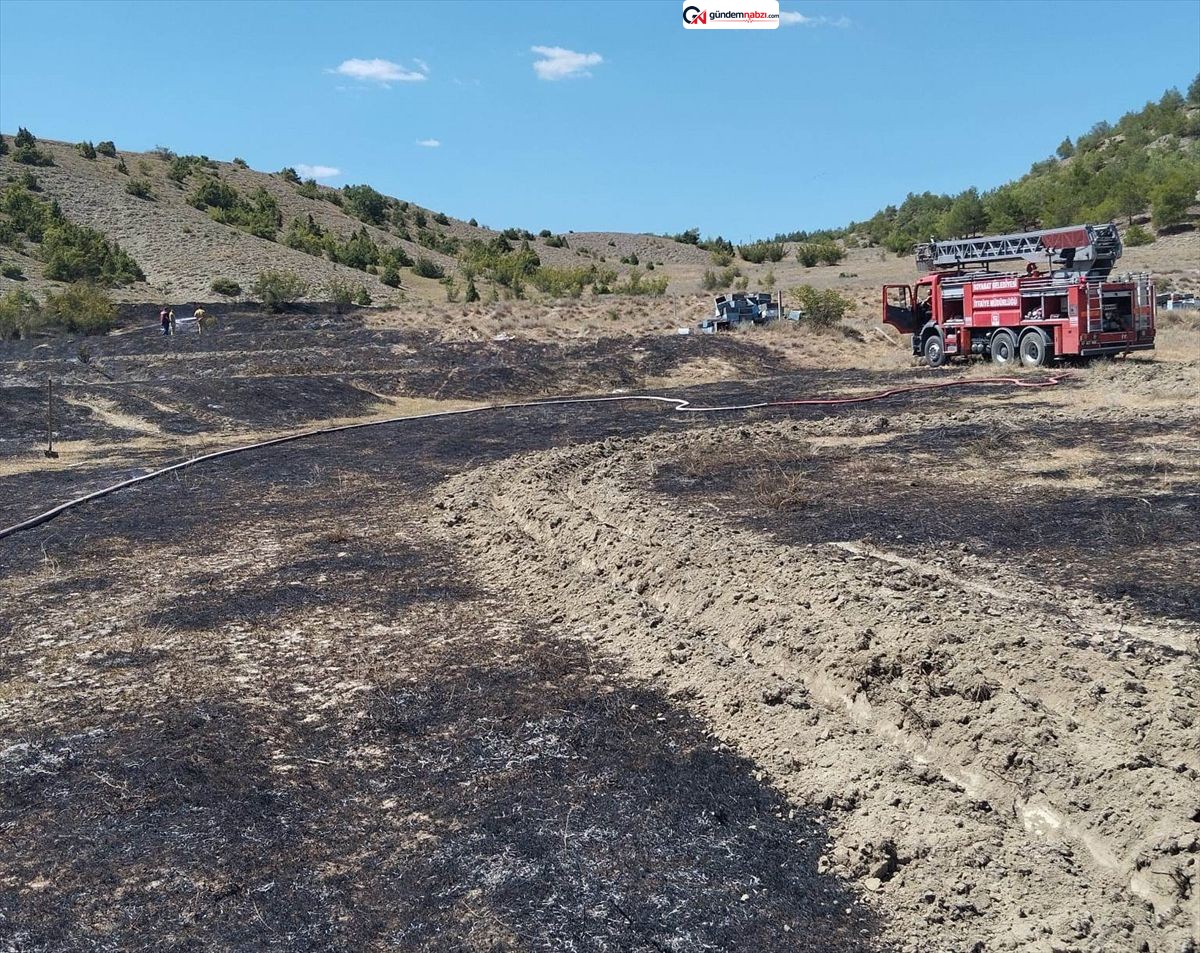 Sinop'ta anız yangını ormana sıçramadan söndürüldü