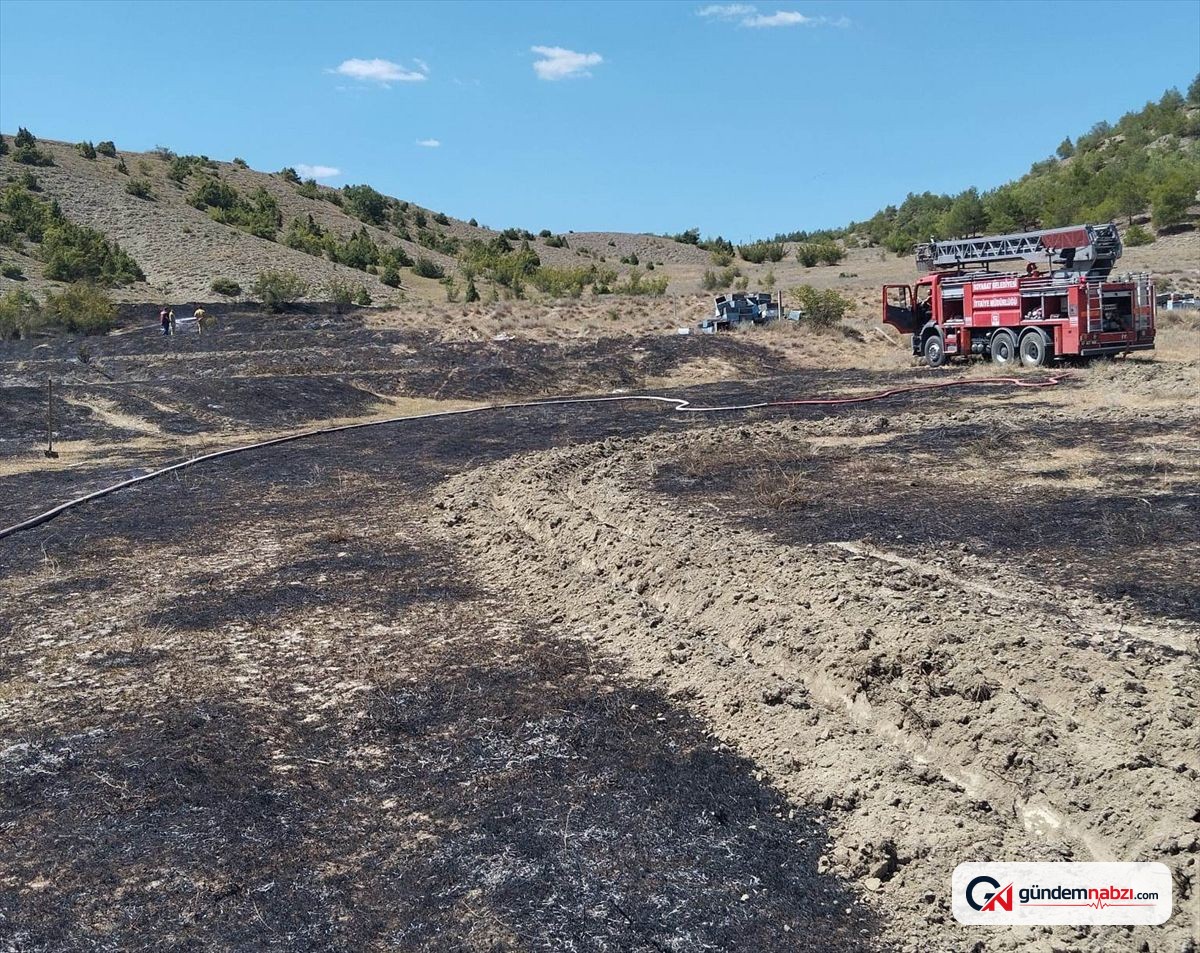 Sinop'ta anız yangını ormana sıçramadan söndürüldü