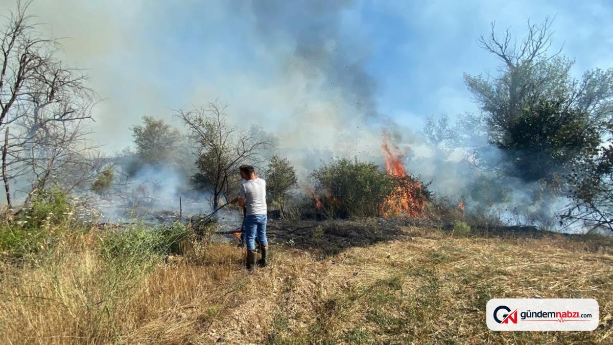 Çankırı'da örtü yangını ağaçlık alana sıçradı