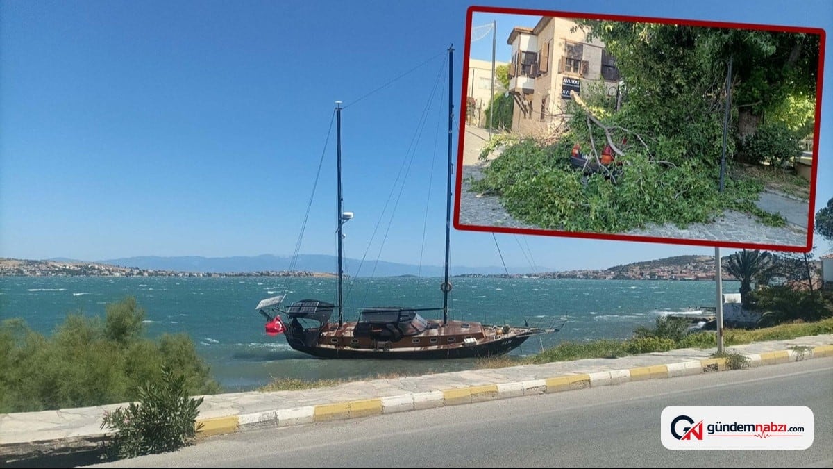 Marmara ve Ege'de kuvvetli rüzgar hayatı olumsuz etkiledi