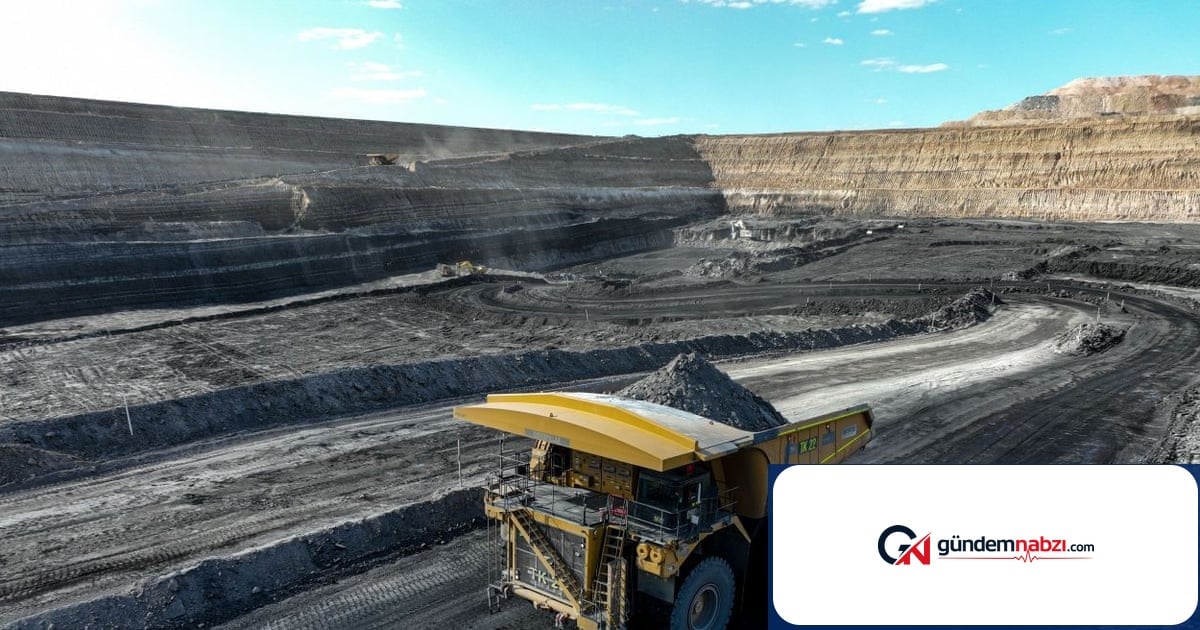 Adani, Avustralya'daki milyarlık gelire rağmen vergi ödemedi