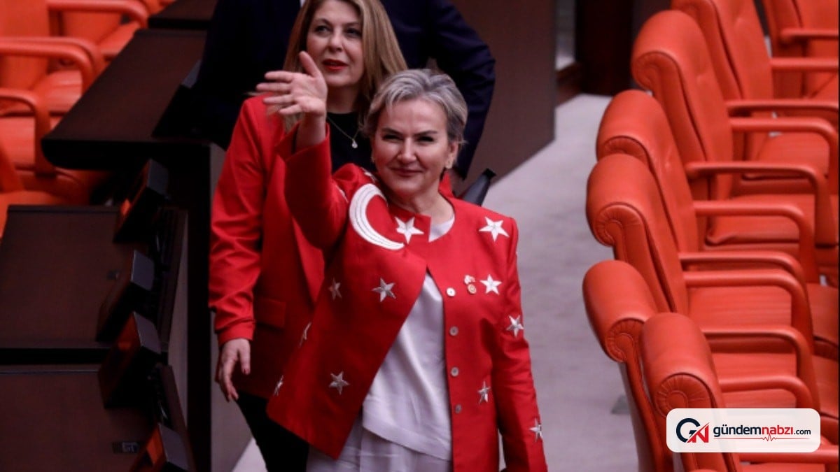 Nimet Özdemir AKP'ye geçişinin ardından sosyal medyaya döndü
