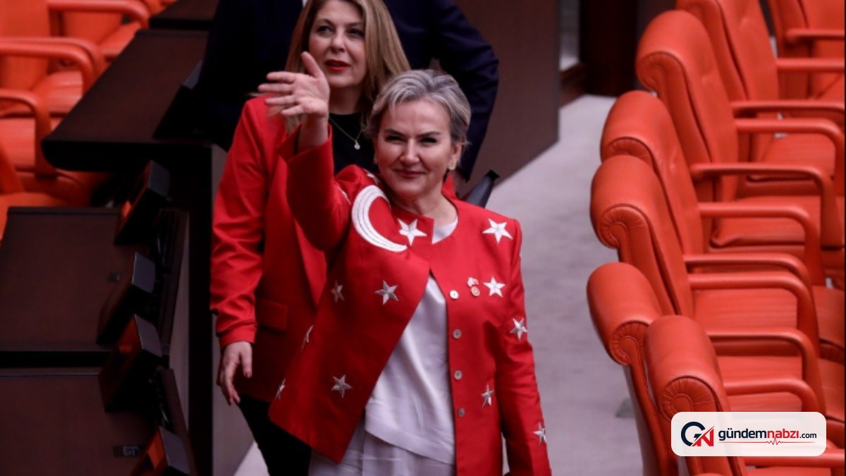 Nimet Özdemir AKP'ye geçişinin ardından sosyal medyaya döndü