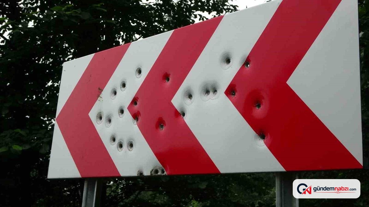 Karadeniz yaylalarındaki trafik levhaları silahlarla delik deşik edildi
