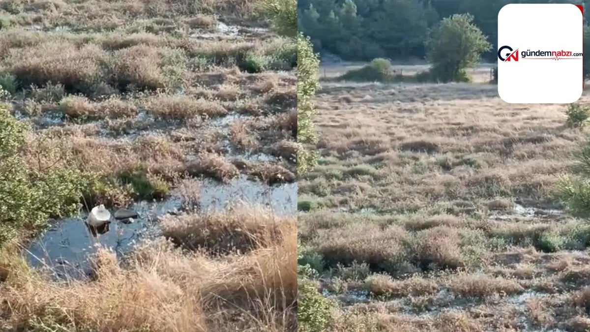 Muğla'da TOKİ arıtma tesisinden akan atık sular tepki çekti