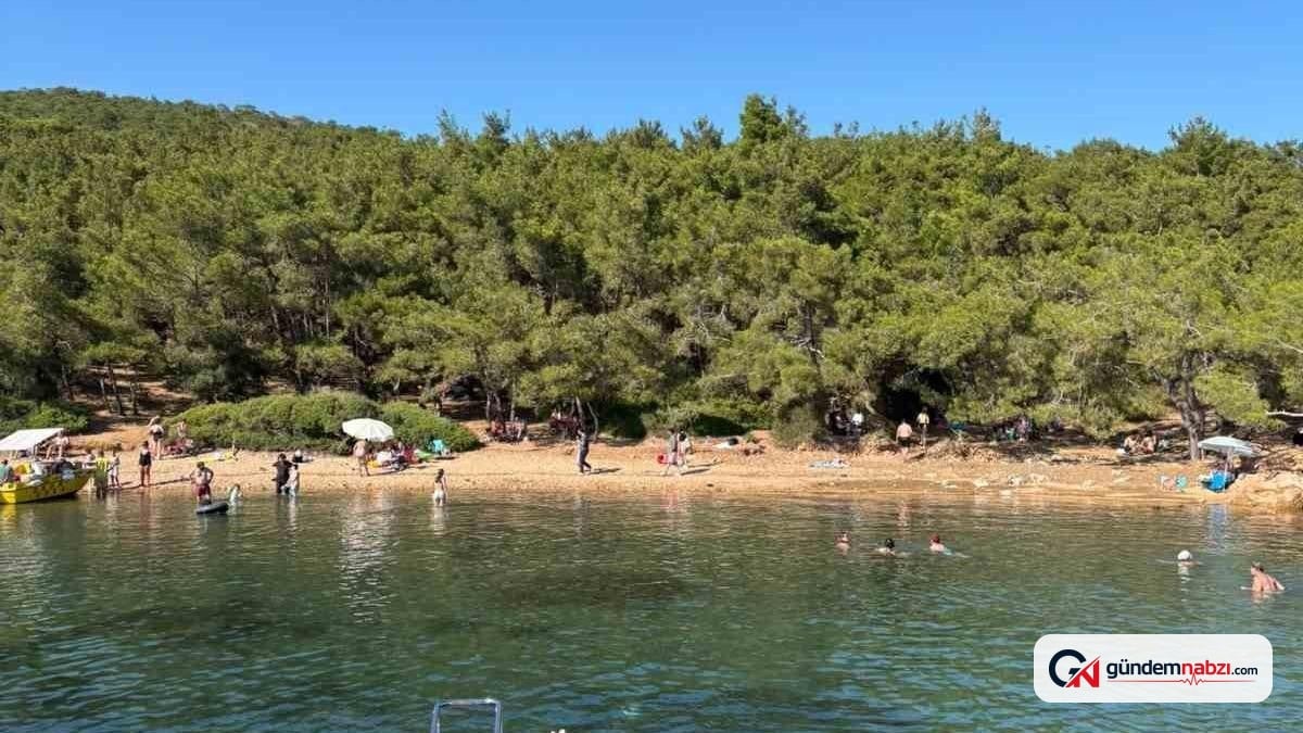 Balıkesir Ayvalık'ta orman giriş yasaklarına rağmen denetim eksik