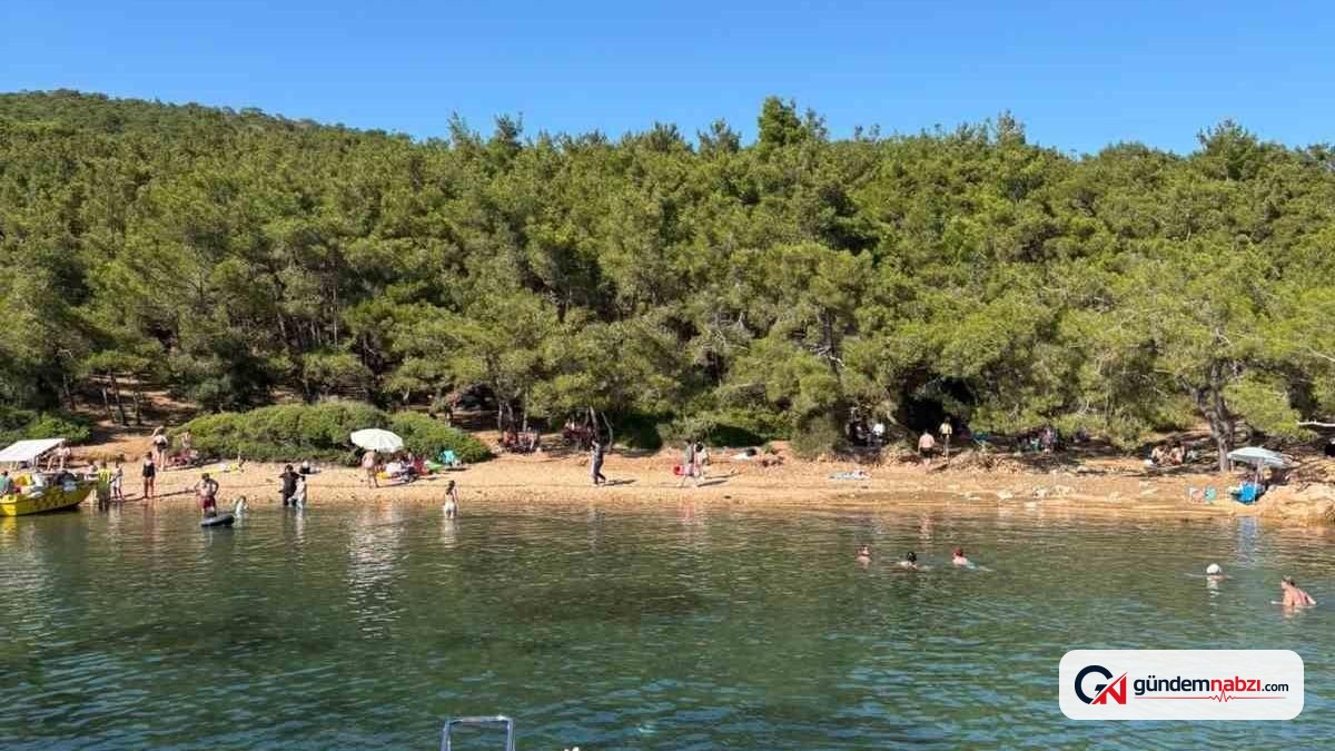 Balıkesir Ayvalık'ta orman giriş yasaklarına rağmen denetim eksik