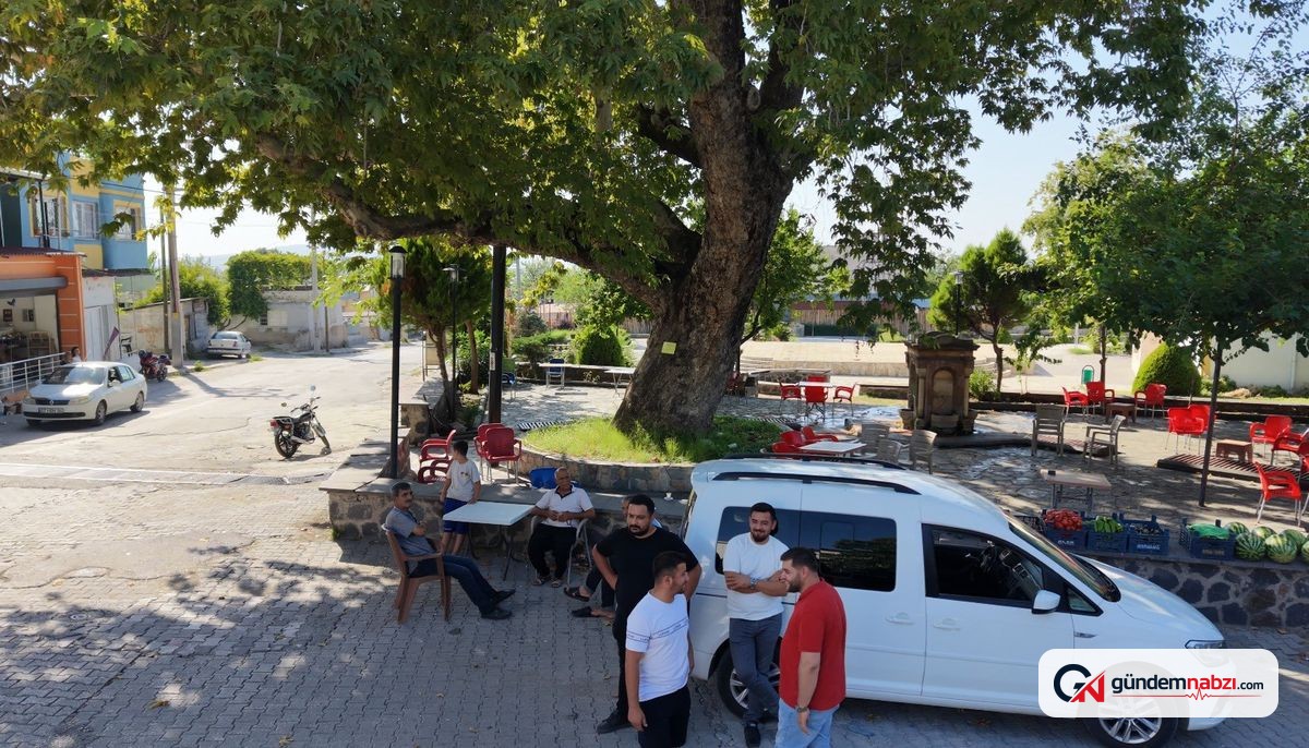 Osmaniye'deki 260 yıllık anıt çınar mahalleliye serinlik sunuyor