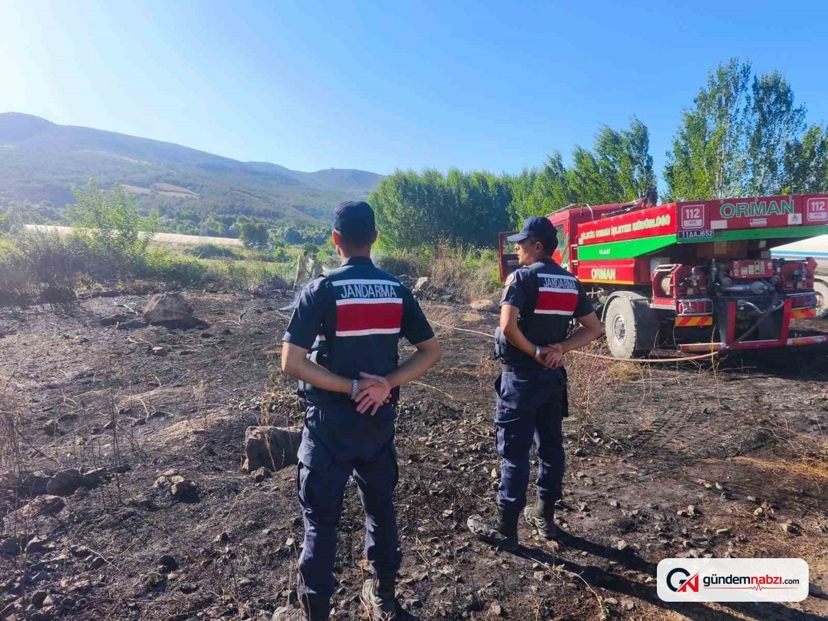 Bilecik'te YHT hattı yakınında çalılık yangını çıktı