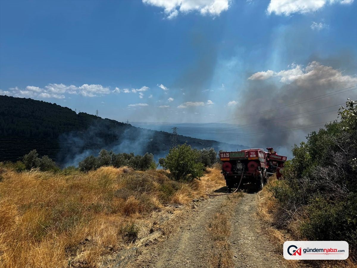 Erdek'te zeytinlik ve makilik alandaki yangın 3 saatte kontrol altına alındı
