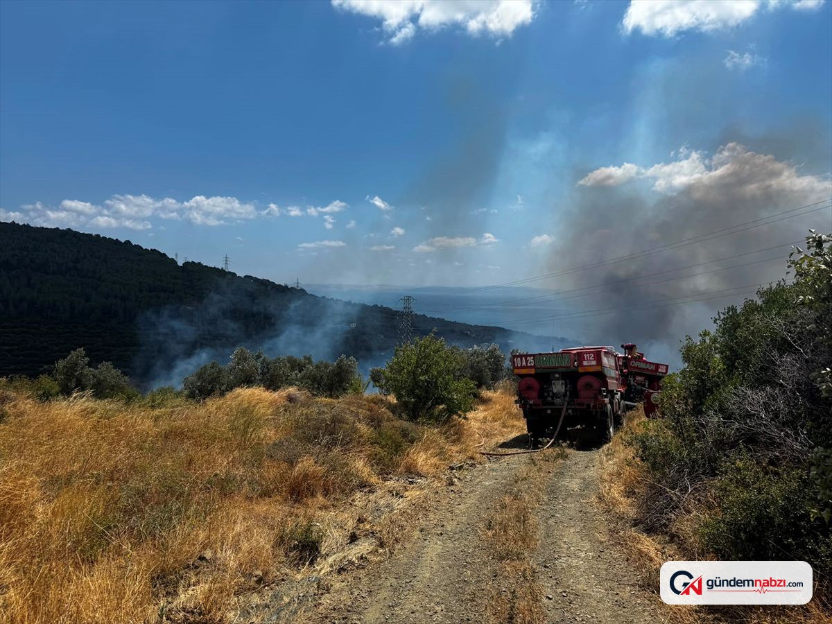 Balıkesir'in Erdek ilçesinde makilik alanda yangın çıktı