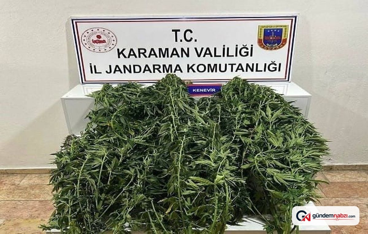 Karaman'da Jandarma operasyonları: 9 tutuklama