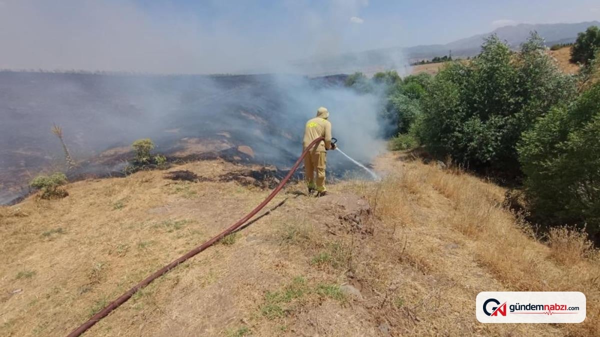 Bingöl'de 5 ayrı noktada çıkan yangınlar söndürüldü