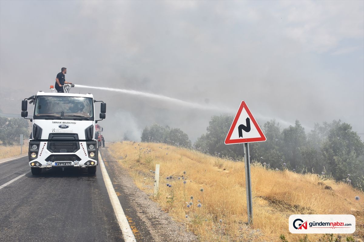 Şırnak'ta ormanlık alana yayılan yangın söndürülmeye çalışılıyor