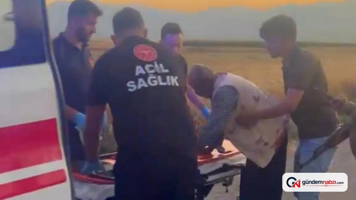 Gaziantep'te hayvan otlatma kavgası: 2 yaralı