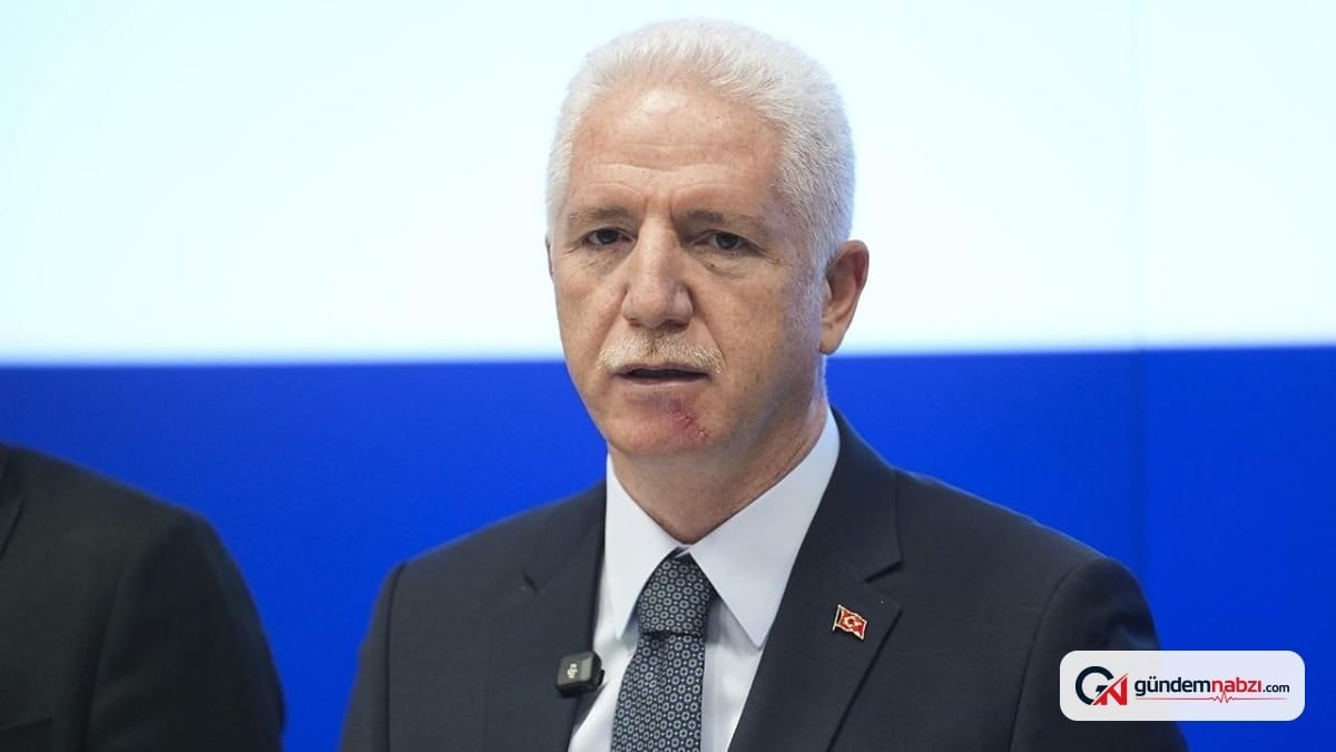 İstanbul Valisi Davut Gül: Sahipsiz hayvanların yüzde 80'i toplandı