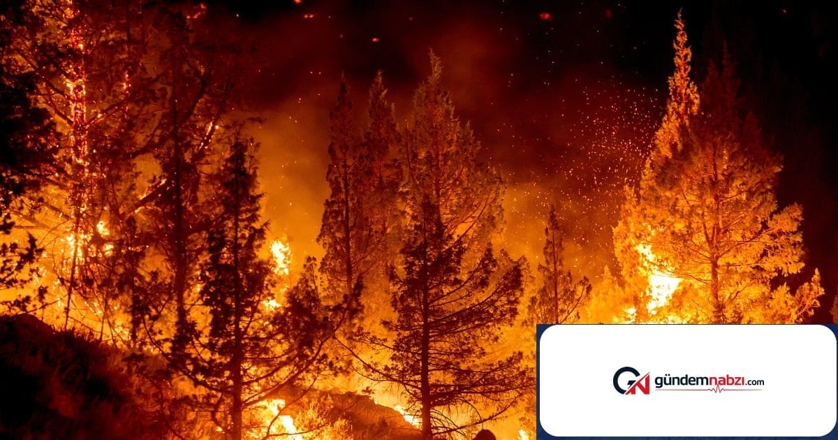 ABD'nin batısında sıcak hava dalgası yangın riskini artırıyor