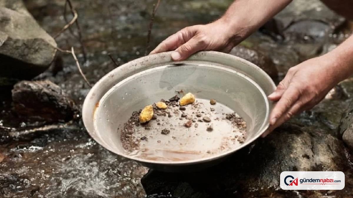 Derelerde izinsiz altın aramanın cezası ağır