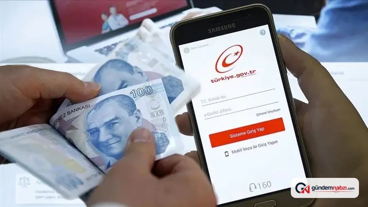 E-Devlet üzerinden unutulan para sorgulama dönemi başladı
