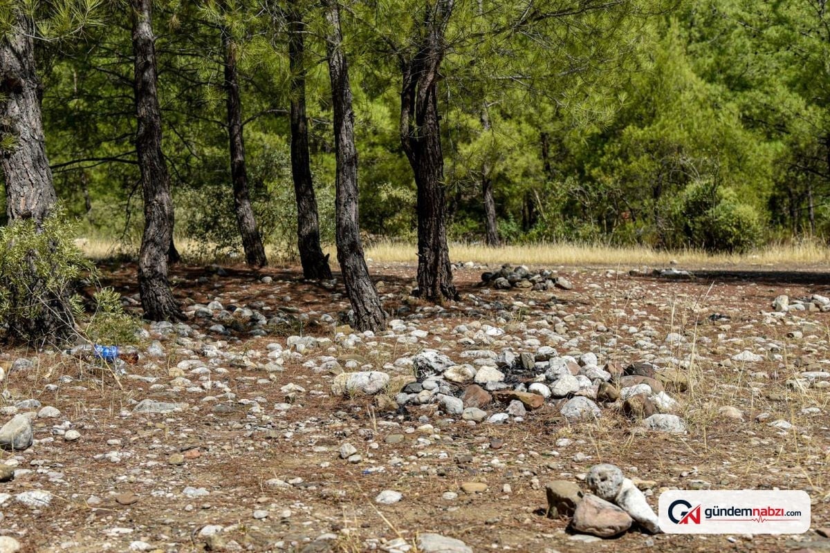Antalya'da yasaklara rağmen ormanda mangal yapıldı
