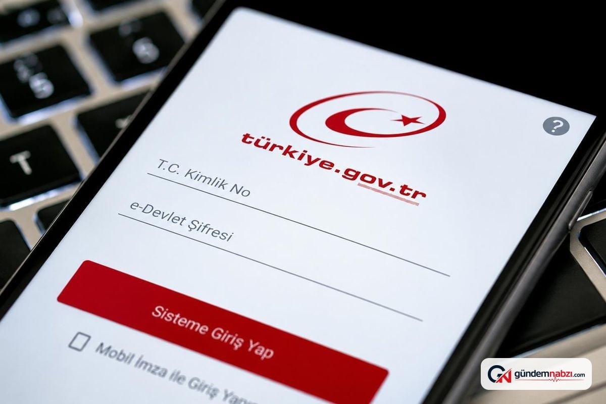 e-Devlet'e ödeme kuruluşları hesap sorgulama hizmeti eklendi