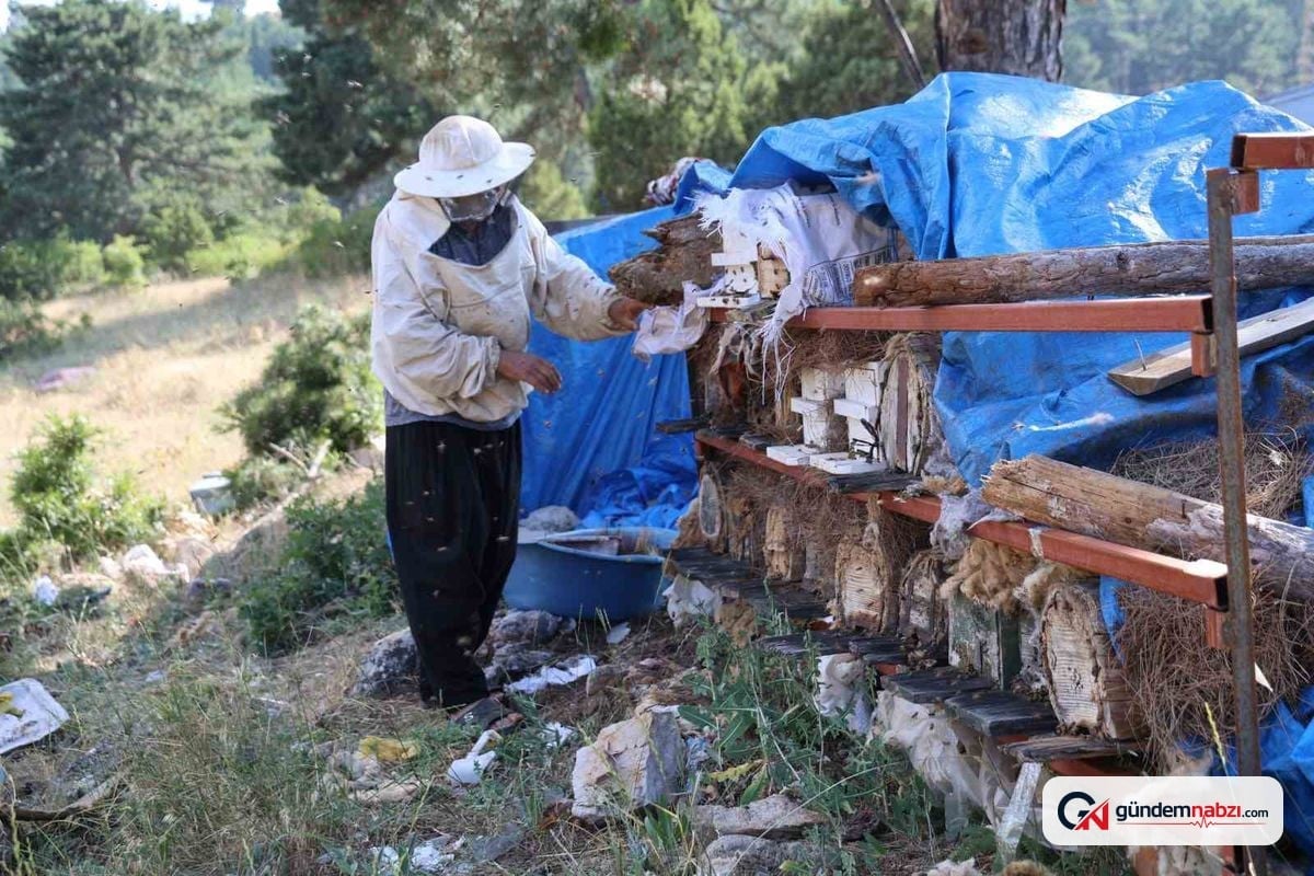 Toroslar'da arıcılık yapan emekli imam doğal yaşamı seçti