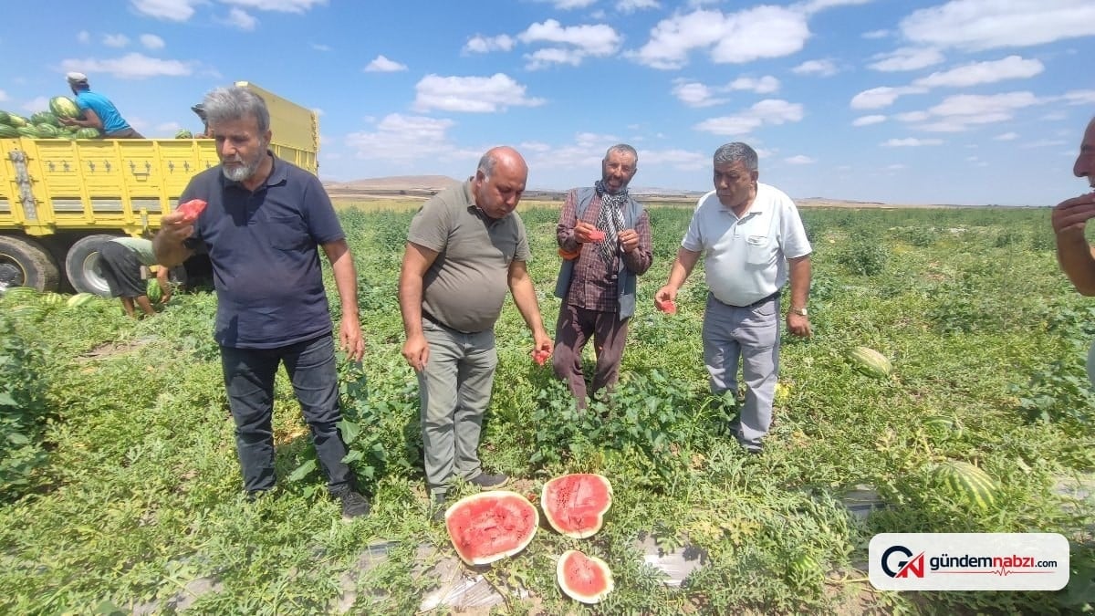 Yozgat'ta 34 derece sıcakta karpuz hasadı mesaisi