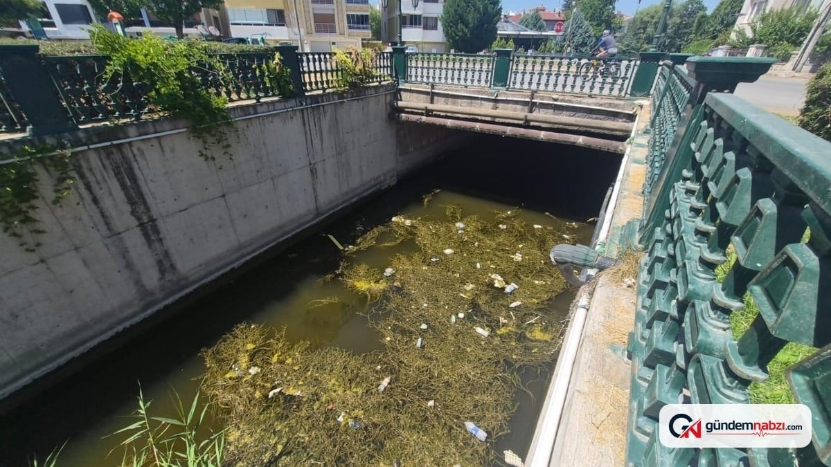 Eskişehir'de Porsuk Çayı'nın su yüzeyinde çöp birikti
