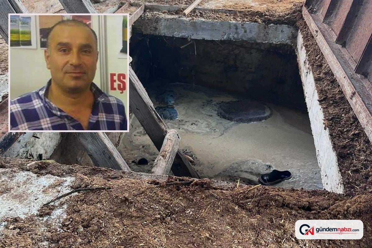 Amasya'da ahırdaki foseptik çukuruna düşen sahibi öldü