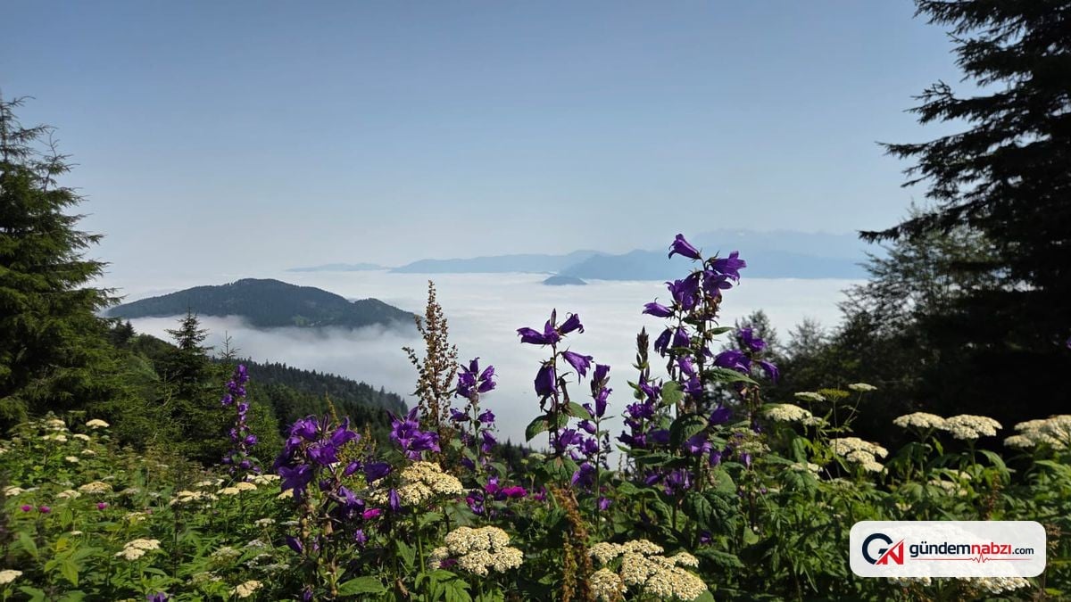 Artvin'in yüksek kesimlerinde sis bulutu dronla görüntülendi