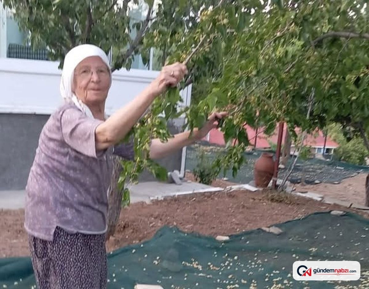 Malatya'da 85 yaşındaki çift geleneksel usulle pekmez yapıyor