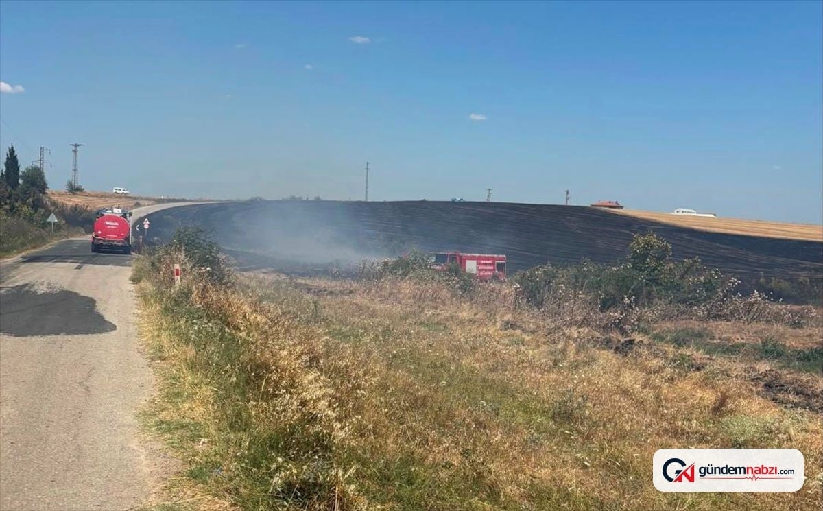Tekirdağ'da anız yangını: 150 dekar tarım arazisi yandı