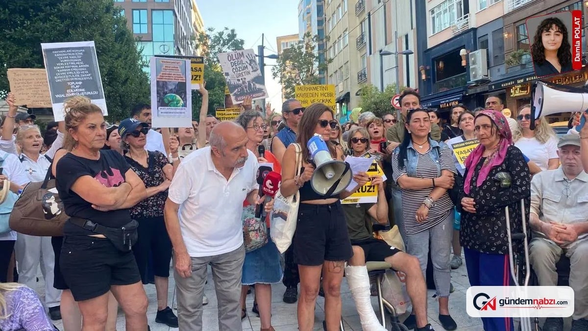 'Katliam Yasası'nın 2. yılında sokak hayvanlarının durumu ağır