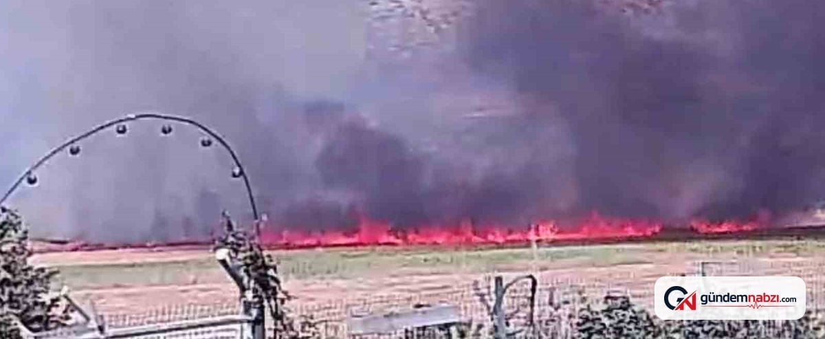 Eskişehir’de anız yangını yerleşime ulaşmadan kontrol altına alındı