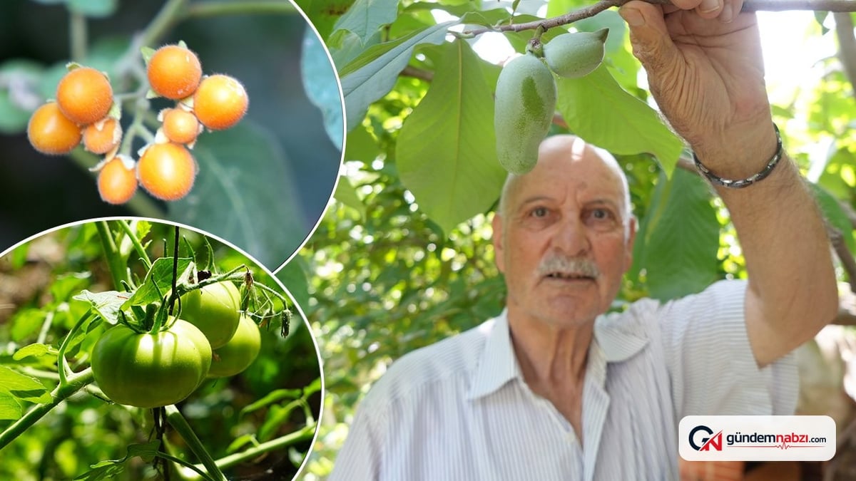 Emekli öğretmen 50 ülkeden getirdiği 120 çeşit ürünü yetiştiriyor