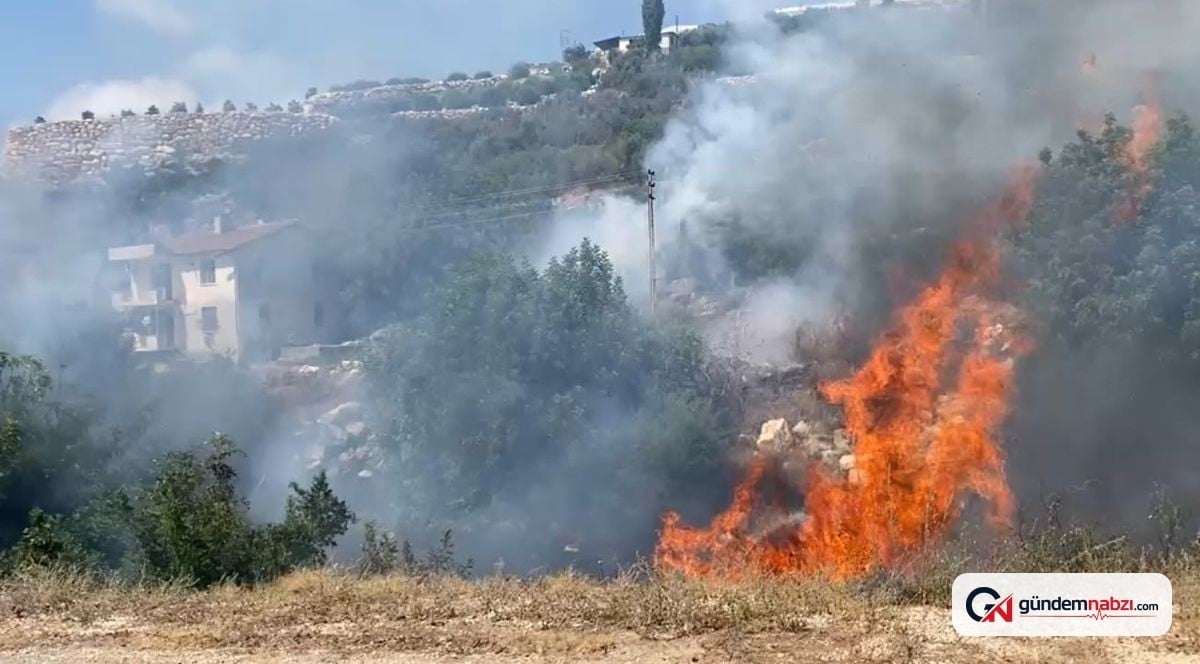 Mersin'de çalılık yangını söndürüldü