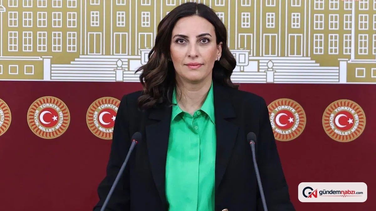 YENİ Partili Evrim Rızvanoğlu'ndan iktidara çevre eleştirisi